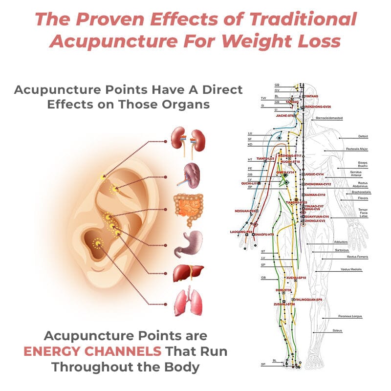 Lymph Flow Magnetogen Earrings™